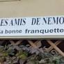 Les amis de némo